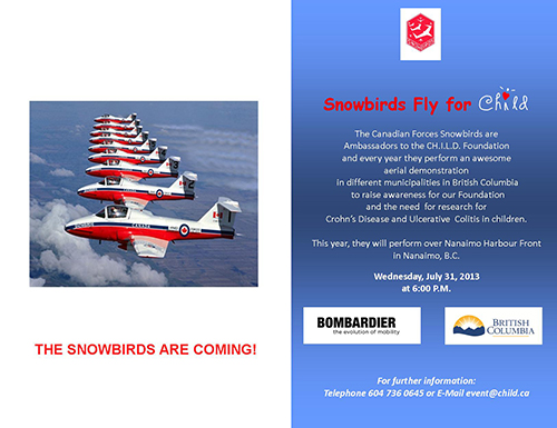 Snowbirds Poster